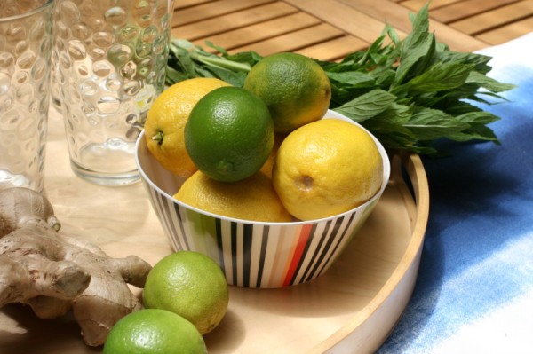 Super-easy fruit-infused soda water with ginger, mint and lemon, via WeeBirdy.com.