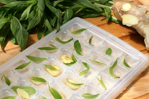 Super-easy fruit-infused soda water with ginger, mint and lemon, via WeeBirdy.com.