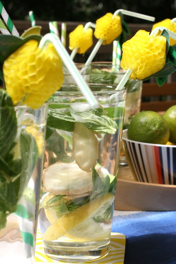 Trying to wean yourself off sugary soda drinks? Make super-easy fruit-infused soda water with ginger, mint and lemon, via WeeBirdy.com.